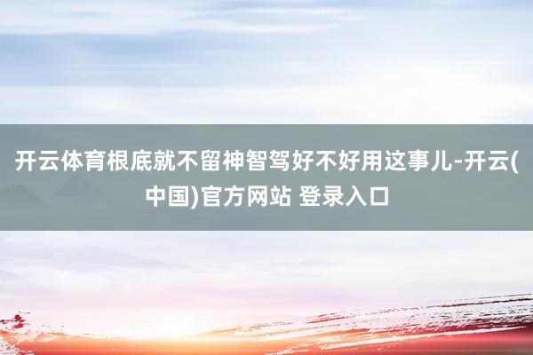 开云体育根底就不留神智驾好不好用这事儿-开云(中国)官方网站 登录入口