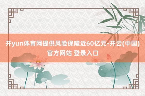 开yun体育网提供风险保障近60亿元-开云(中国)官方网站 登录入口