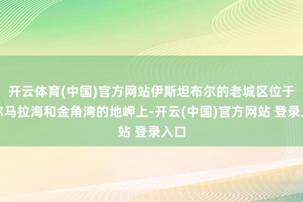 开云体育(中国)官方网站伊斯坦布尔的老城区位于马尔马拉海和金角湾的地岬上-开云(中国)官方网站 登录入口