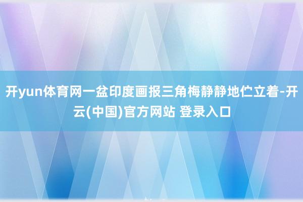 开yun体育网一盆印度画报三角梅静静地伫立着-开云(中国)官方网站 登录入口