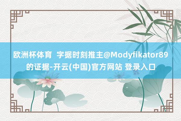 欧洲杯体育  字据时刻推主@Modyfikator89的证据-开云(中国)官方网站 登录入口