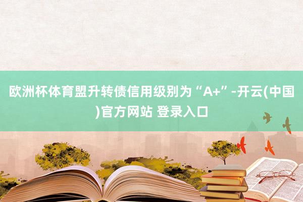 欧洲杯体育盟升转债信用级别为“A+”-开云(中国)官方网站 登录入口