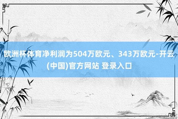 欧洲杯体育净利润为504万欧元、343万欧元-开云(中国)官方网站 登录入口