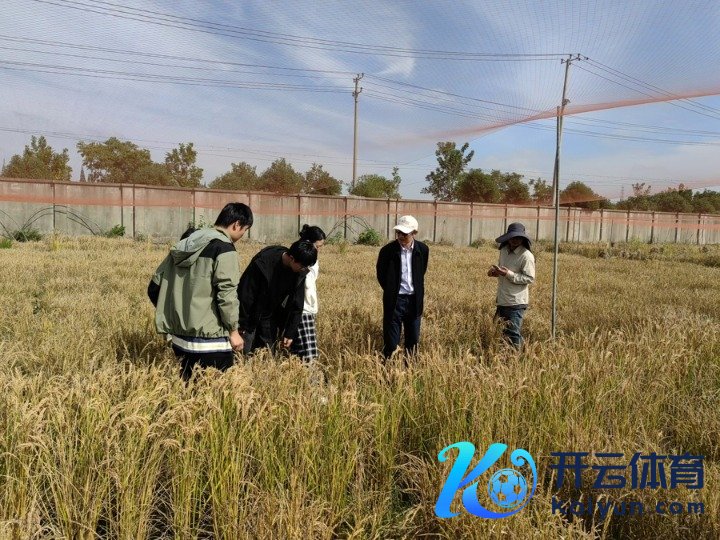 陈晓亚院士(右二)在田间不雅察水稻新种质