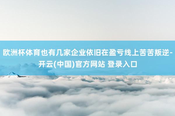 欧洲杯体育也有几家企业依旧在盈亏线上苦苦叛逆-开云(中国)官方网站 登录入口