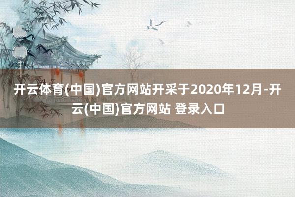 开云体育(中国)官方网站开采于2020年12月-开云(中国)官方网站 登录入口