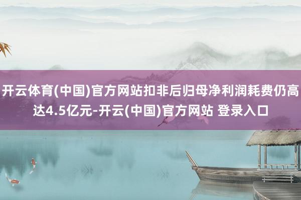 开云体育(中国)官方网站扣非后归母净利润耗费仍高达4.5亿元-开云(中国)官方网站 登录入口